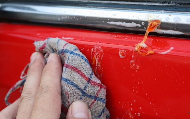 How to Get Sap Off Your Car - Auto Quarterly