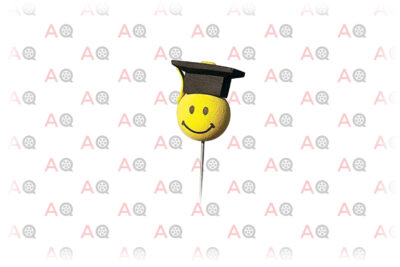 Graduation Smiley Face Car Antenna Topper
