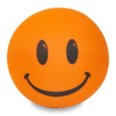 Graduation Smiley Face Car Antenna Topper