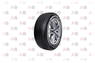 Radar Tires Dimax AS- 8 Touring Radial Tire- 205/60 R16 92v