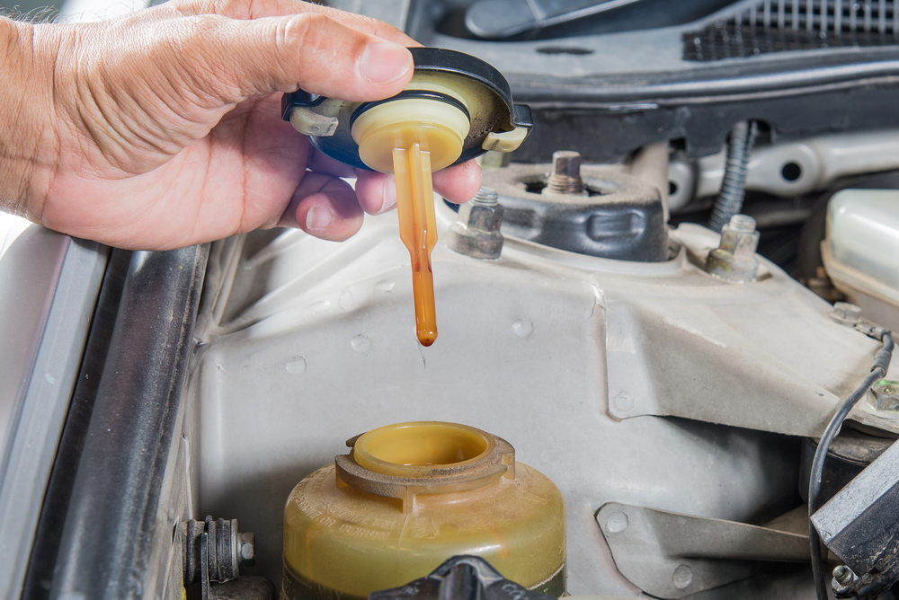 checking the power steering fluid level