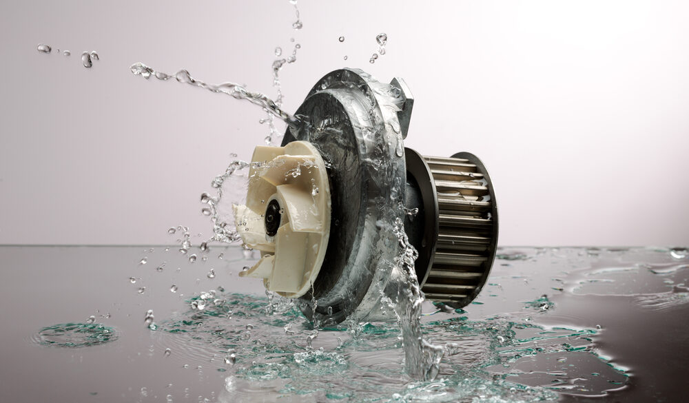 Faulty Water Pump Symptoms and Replacement Costs Auto Quarterly