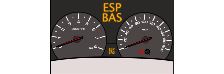 What Does the ESP/BAS Light Mean?